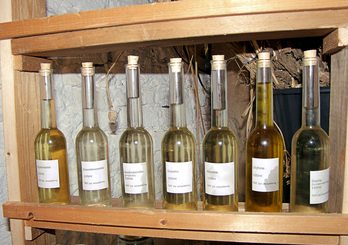 Substitute Sundays- Fats: Oils