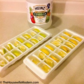 Homemade Garbage Disposal Refreshers.