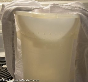 Homemade Chicken & Vegetable Broth_straining2 Use a flour-sack dishcloth, put it in the same strainer used above, and pour the skimmed broth into a pitcher.