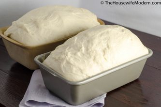 Why does bread rise? Fermentation, leavening, gluten matrixes....explained in English.