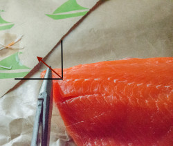 LR Deboning Process2 How to remove pin bones from salmon