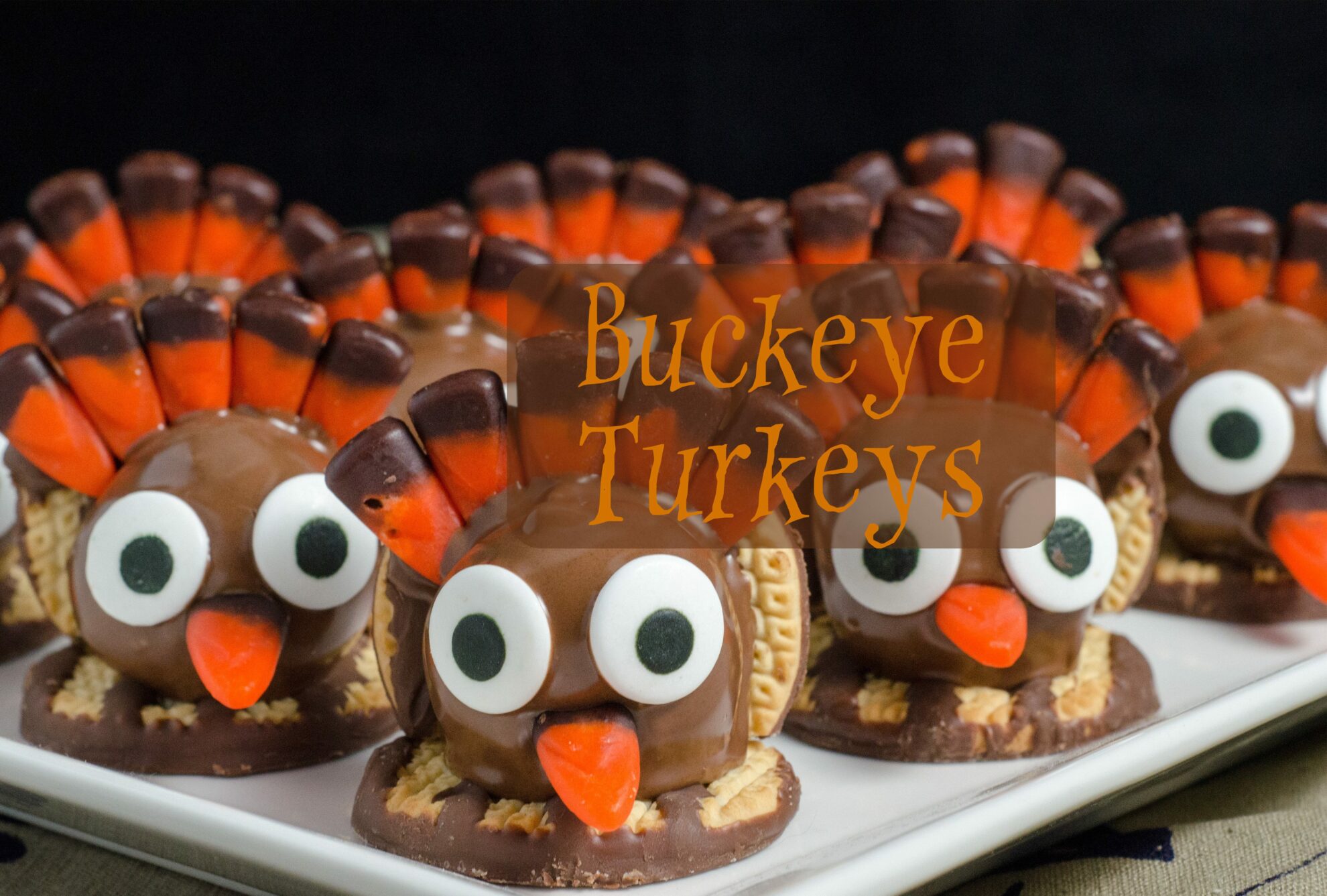 Turkey Buckeyes: classic peanut butter and powdered sugar buckeyes turned into turkeys. Perfect for Thanksgiving. Step-by-step pictures and printable recipe.