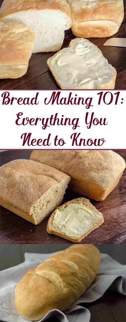 Bread Making 101 How to Make Bread, Everything You Need to Know