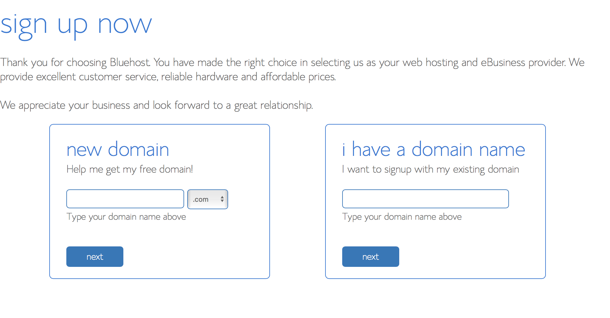 How to Start a Blog_Pick domain name If you want a new domain, type what you want into the "new domain" box.