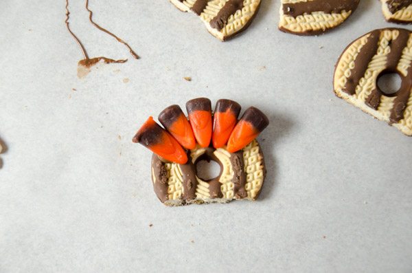 LR_Turkey Cake Pops_step2 prep-5 Place last two candy corns. Allow the feathers to "set".