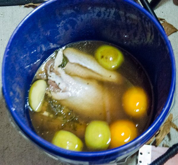 LR_Turkey, Cider Brined_prep-2 Remove from heat and add 12 C. cold water (in a container large enough to hold liquid and turkey). Let stand until cool. Add the turkey and refrigerate for 12-24 hrs.