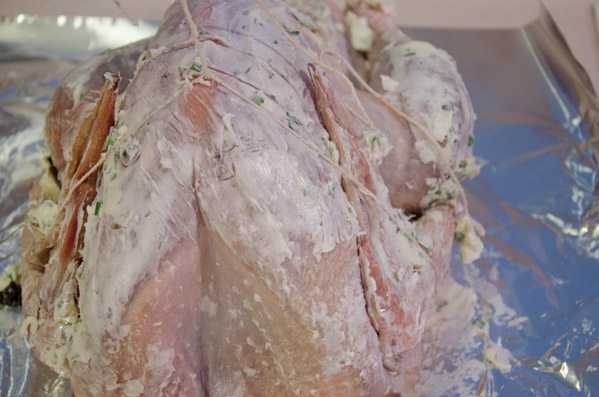 LR_Turkey, Cider Brined_prep-5 Start with the middle of the string under the top of the turkey (neck side). Pull the twine up over the outside of the wings, crossing it over the bend in each wing. Tie a knot.