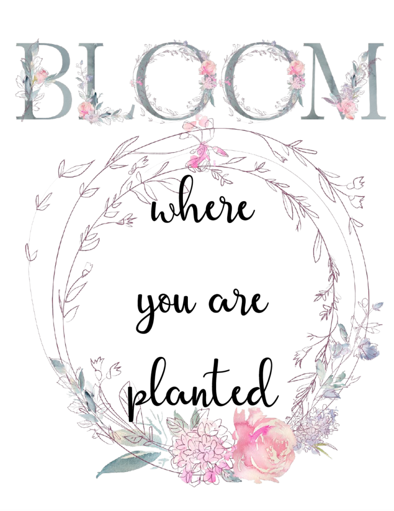 Free Spring Printables. 4 charming designs to brighten the home, motivate you, and help celebrate spring. Free printable spring wall art, spring decorations.