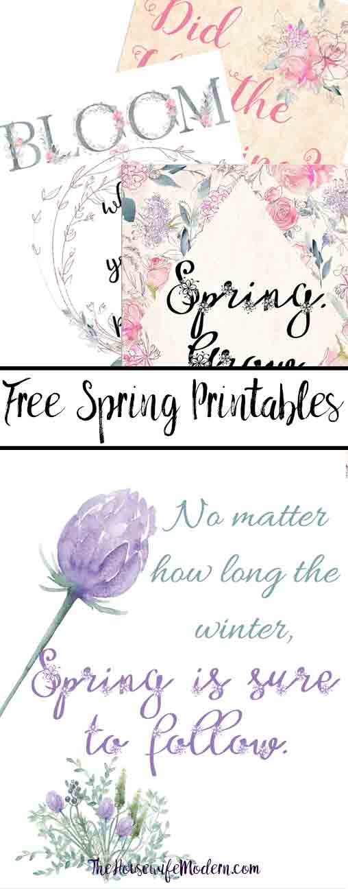 Free Spring Printables. 4 charming designs to brighten the home, motivate you, and help celebrate spring. Free printable spring wall art, spring decorations.
