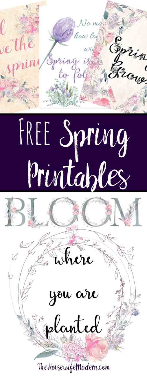Free Spring Printables. 4 charming designs to brighten the home, motivate you, and help celebrate spring. Free printable spring wall art, spring decorations.