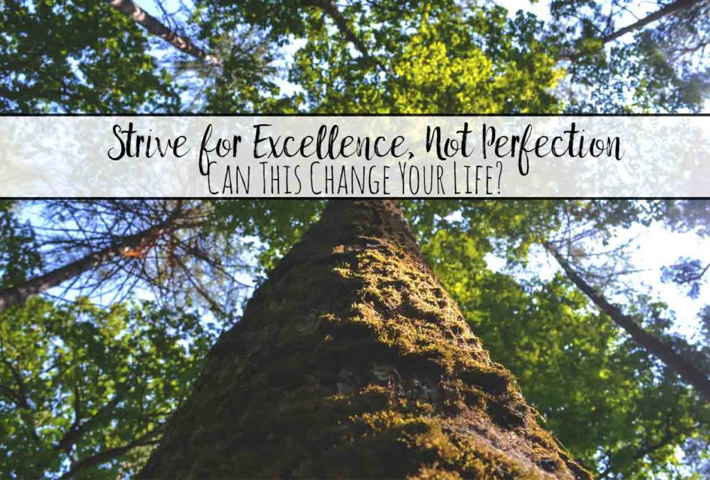 Strive for Excellence, Not Perfection: Can this change your life? The difference between excellence and perfection. Which works and why. Action steps to take to help you strive for excellence.