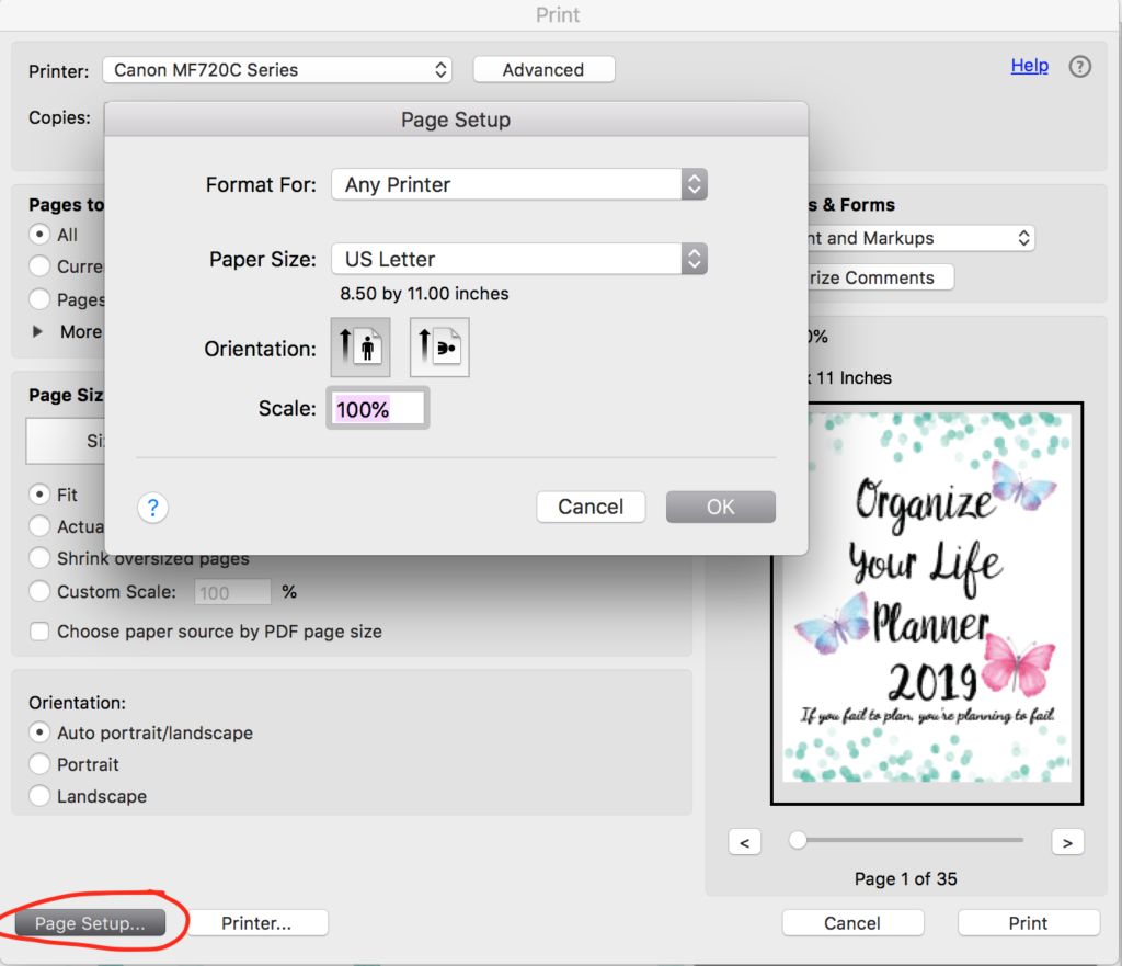 Click on 'Page Setup' (circled in red in the image).