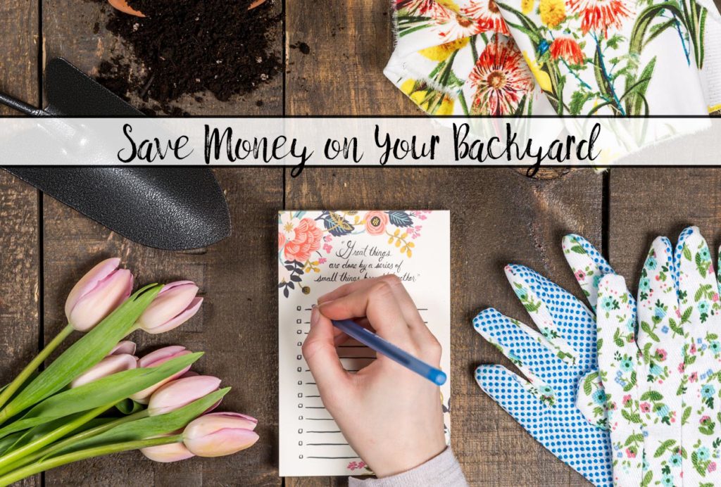 How to Save Money on Simple Backyard Upgrades. DIY, mulch options, transplants, and more on how to save money while getting the perfect backyard!