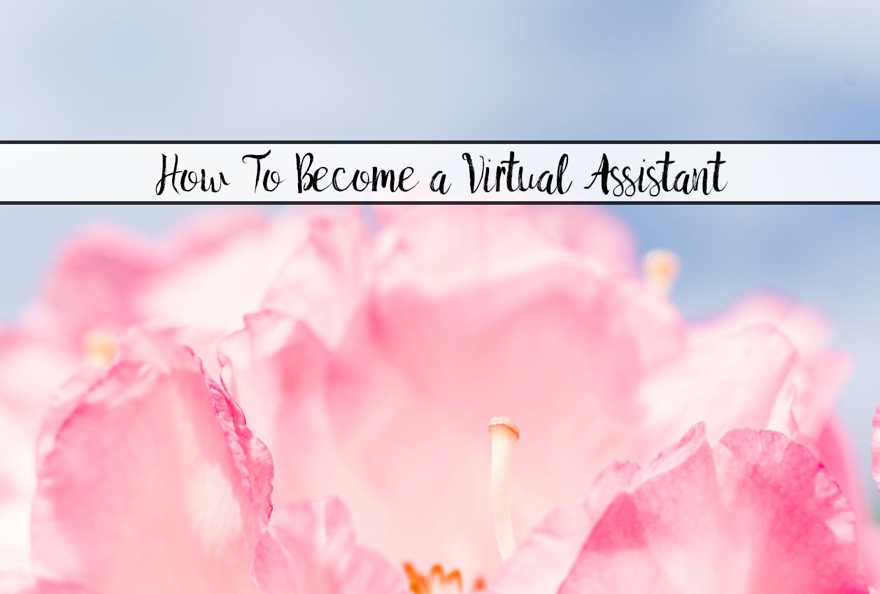 Featured image for virtual assistants. Flower with text overlay.