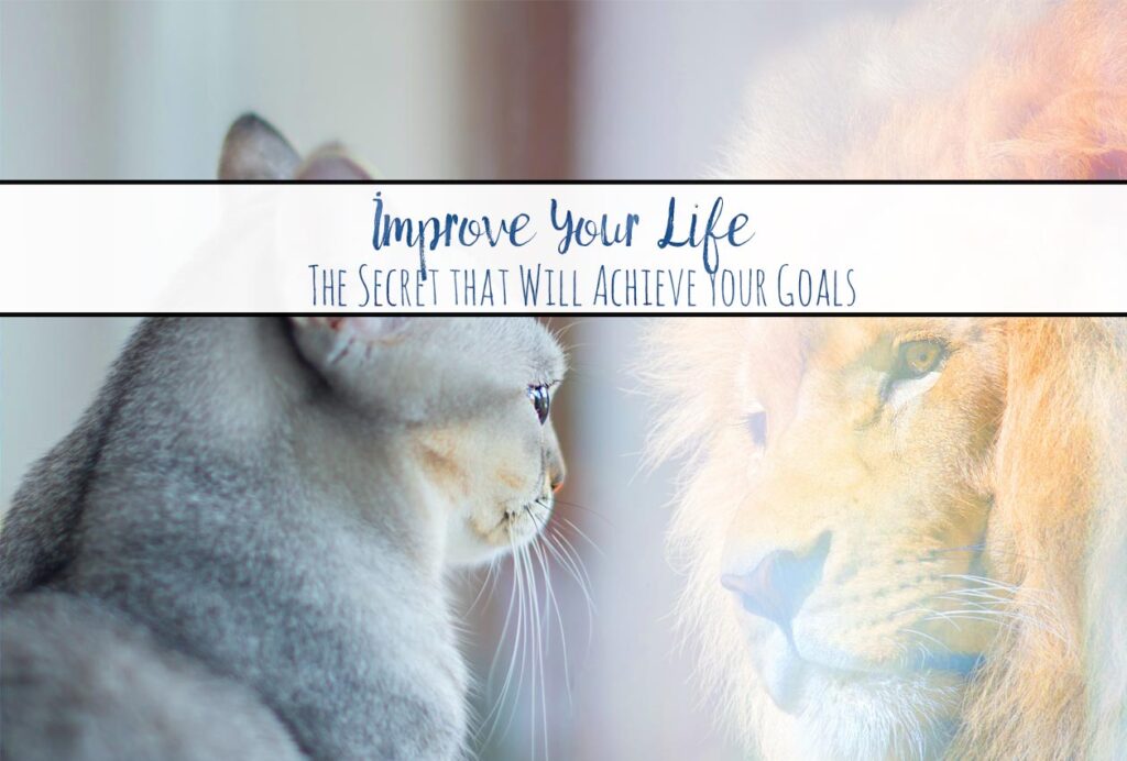 Improve Your Life. How to Use Goals Vs. Systems. {Free Printable}