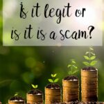 Pin image for Rakuten review. Coins with trees growing on top.