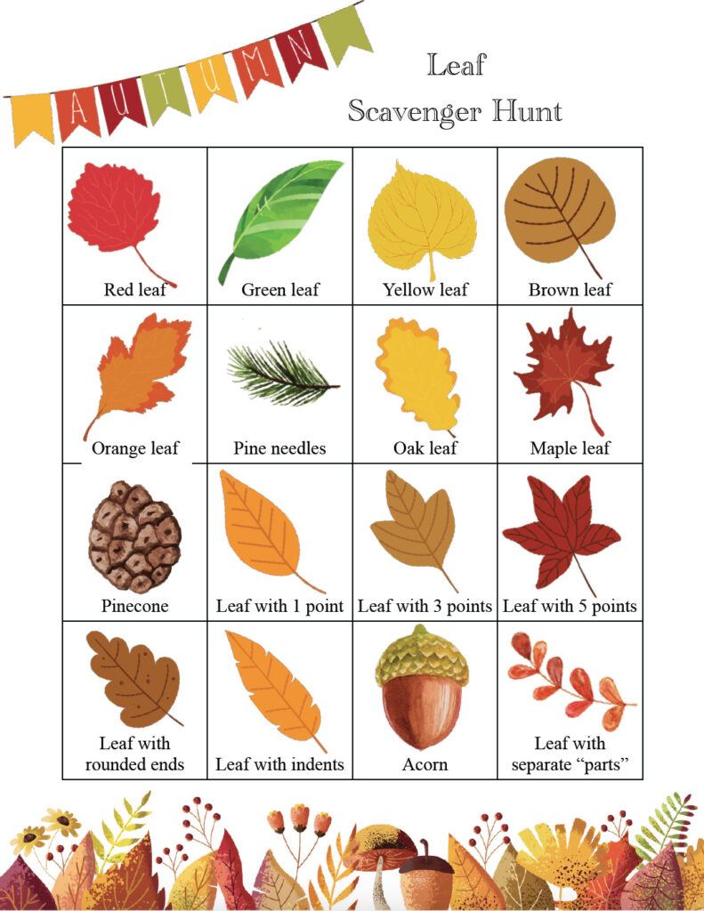 Free printable fall scavenger hunt: leaf with various colors, points, etc.